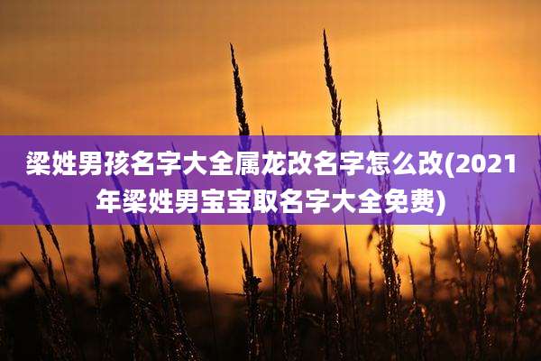 梁姓男孩名字大全属龙改名字怎么改(2021年梁姓男宝宝取名字大全免费)