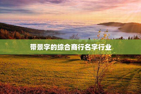 带景字的综合商行名字行业