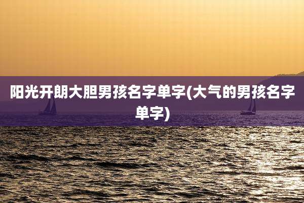 阳光开朗大胆男孩名字单字(大气的男孩名字单字)
