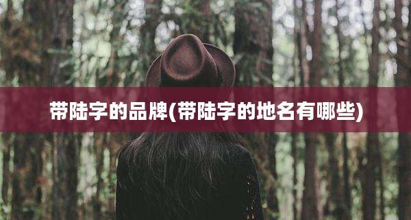 带陆字的品牌(带陆字的地名有哪些)