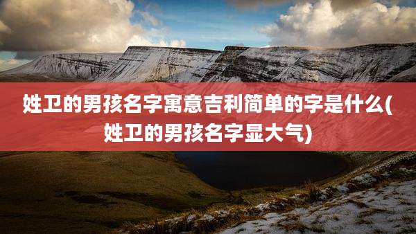 姓卫的男孩名字寓意吉利简单的字是什么(姓卫的男孩名字显大气)