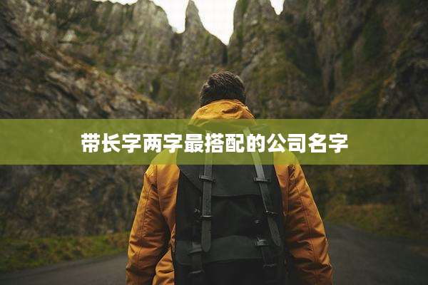 带长字两字最搭配的公司名字