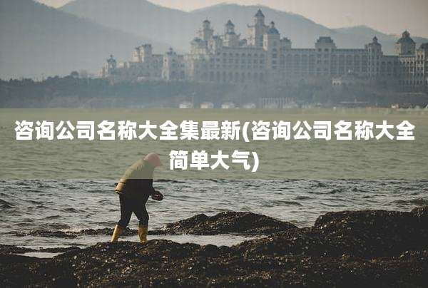 咨询公司名称大全集最新(咨询公司名称大全简单大气)