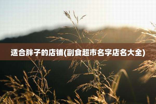 适合胖子的店铺(副食超市名字店名大全)