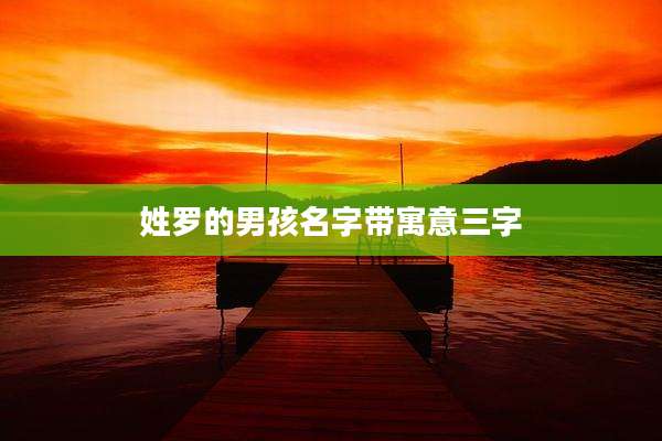 姓罗的男孩名字带寓意三字