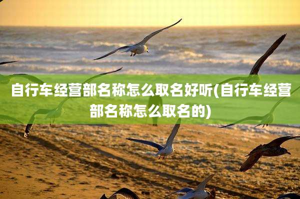自行车经营部名称怎么取名好听(自行车经营部名称怎么取名的)
