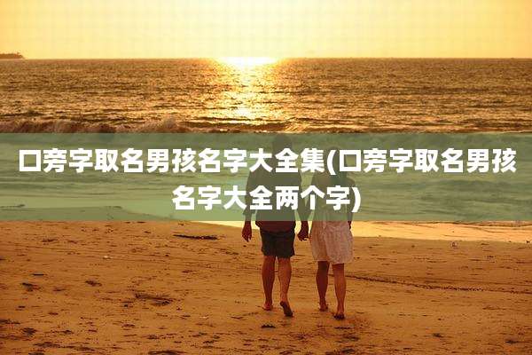 口旁字取名男孩名字大全集(口旁字取名男孩名字大全两个字)