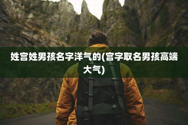 姓宫姓男孩名字洋气的(宫字取名男孩高端大气)