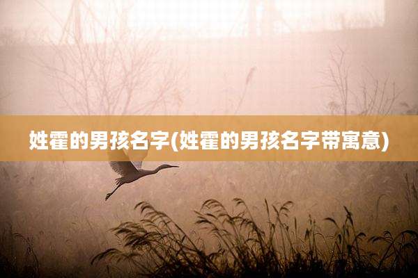 姓霍的男孩名字(姓霍的男孩名字带寓意)