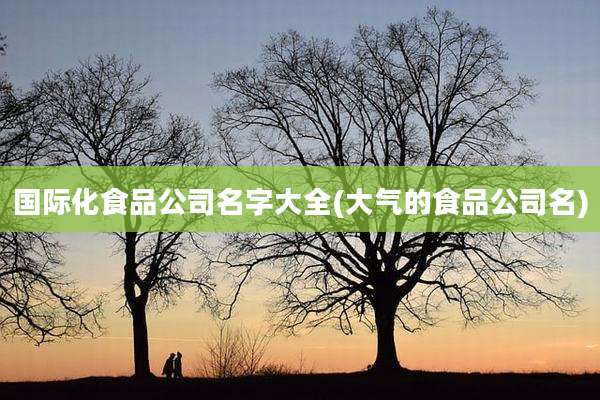 国际化食品公司名字大全(大气的食品公司名)