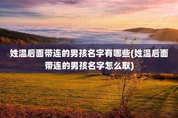 姓温后面带连的男孩名字有哪些(姓温后面带连的男孩名字怎么取)