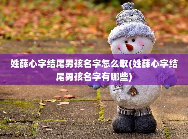 姓薛心字结尾男孩名字怎么取(姓薛心字结尾男孩名字有哪些)