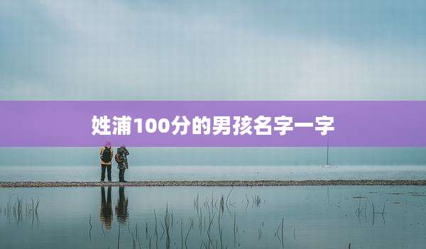 姓浦100分的男孩名字一字