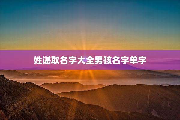 姓谌取名字大全男孩名字单字