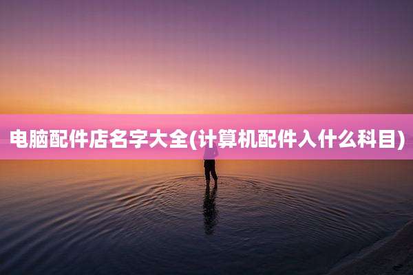 电脑配件店名字大全(计算机配件入什么科目)
