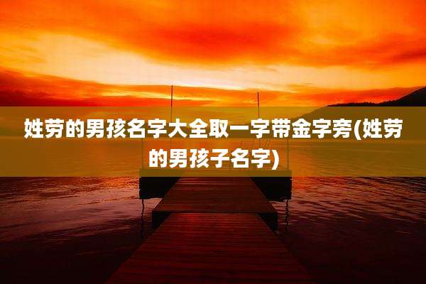 姓劳的男孩名字大全取一字带金字旁(姓劳的男孩子名字)
