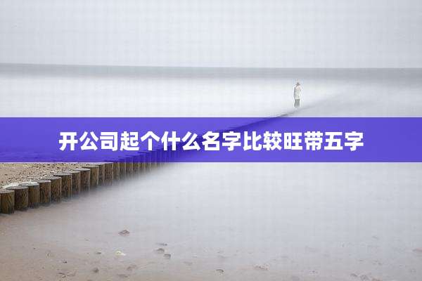 开公司起个什么名字比较旺带五字