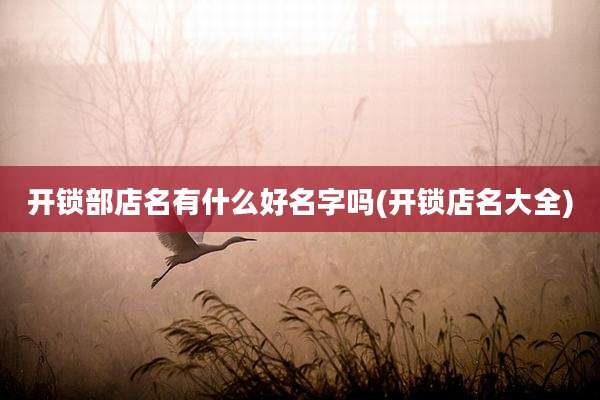 开锁部店名有什么好名字吗(开锁店名大全)