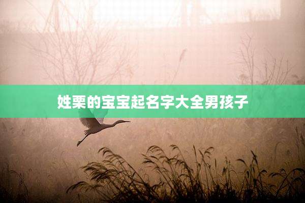 姓栗的宝宝起名字大全男孩子