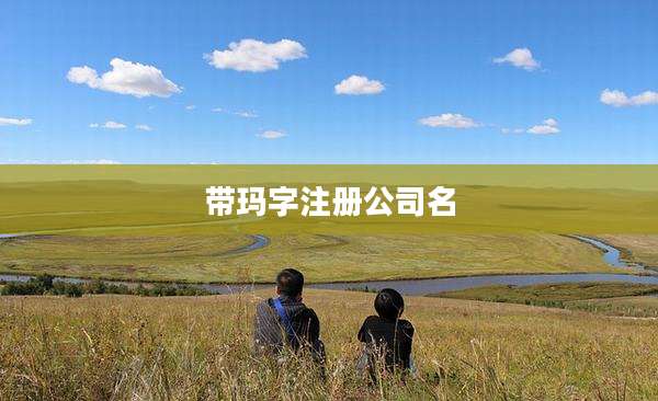 带玛字注册公司名