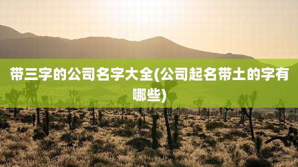 带三字的公司名字大全(公司起名带土的字有哪些)
