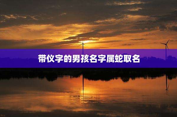 带仪字的男孩名字属蛇取名