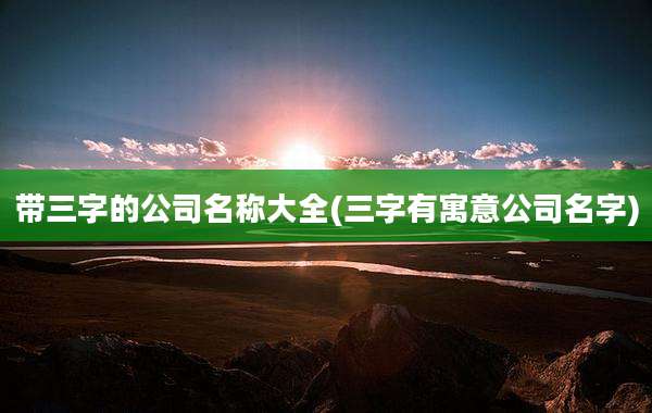 带三字的公司名称大全(三字有寓意公司名字)