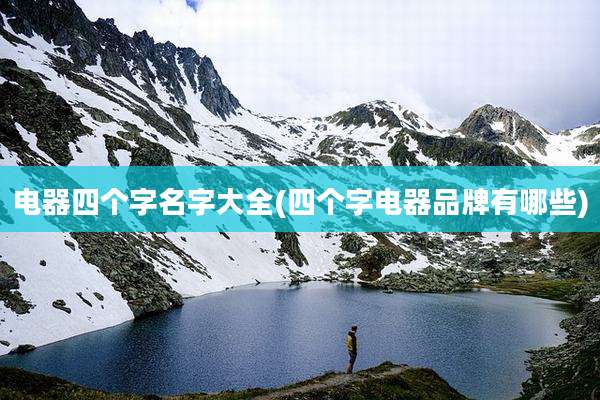 电器四个字名字大全(四个字电器品牌有哪些)