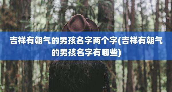 吉祥有朝气的男孩名字两个字(吉祥有朝气的男孩名字有哪些)