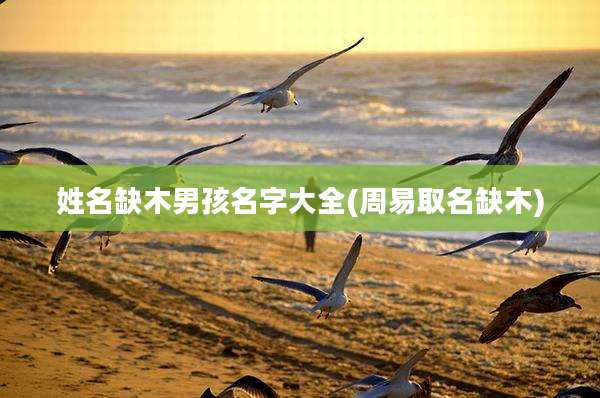 姓名缺木男孩名字大全(周易取名缺木)