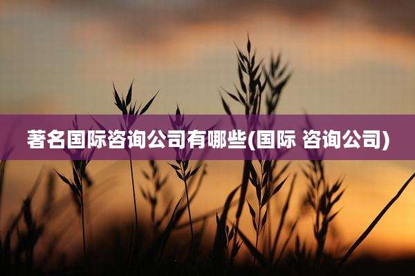 著名国际咨询公司有哪些(国际 咨询公司)