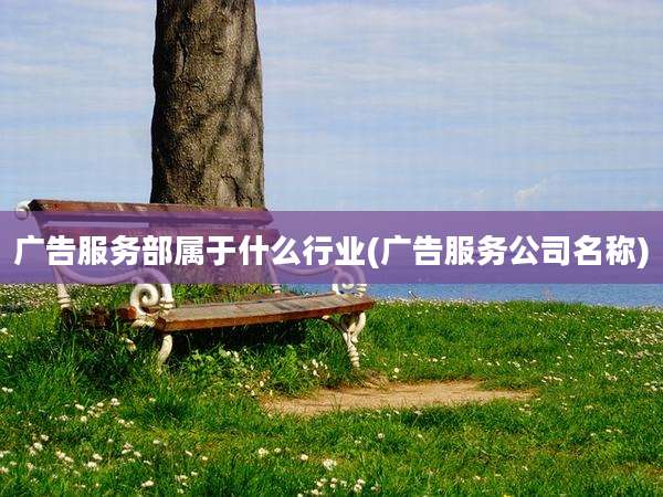 广告服务部属于什么行业(广告服务公司名称)