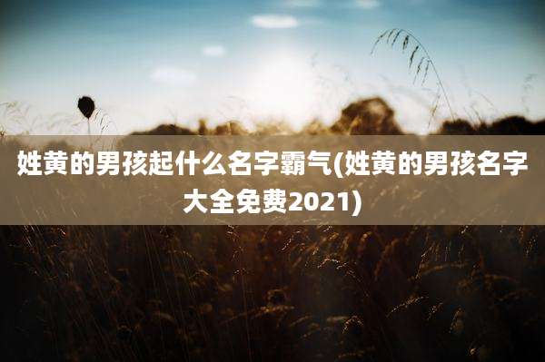 姓黄的男孩起什么名字霸气(姓黄的男孩名字大全免费2021)