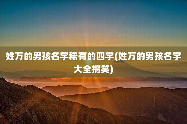 姓万的男孩名字稀有的四字(姓万的男孩名字大全搞笑)