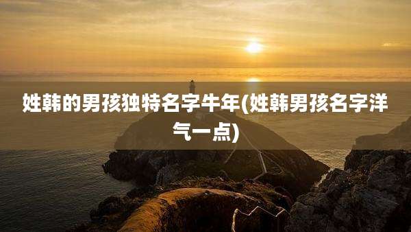 姓韩的男孩独特名字牛年(姓韩男孩名字洋气一点)