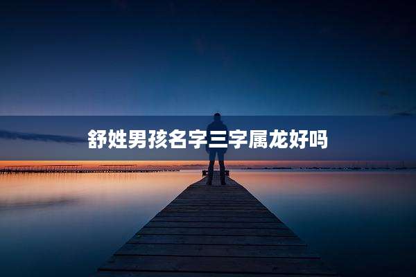 舒姓男孩名字三字属龙好吗