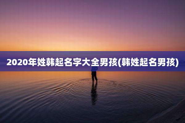 2020年姓韩起名字大全男孩(韩姓起名男孩)