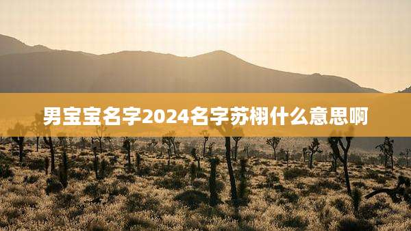 男宝宝名字2024名字苏栩什么意思啊