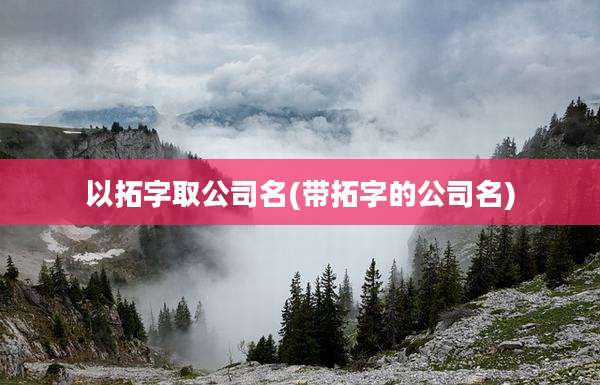 以拓字取公司名(带拓字的公司名)