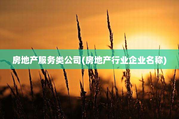 房地产服务类公司(房地产行业企业名称)