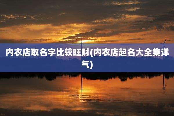 内衣店取名字比较旺财(内衣店起名大全集洋气)