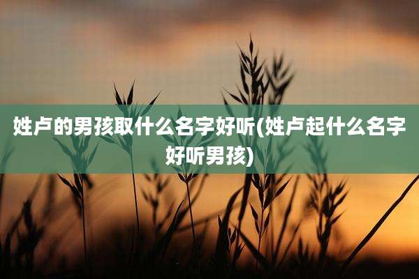 姓卢的男孩取什么名字好听(姓卢起什么名字好听男孩)