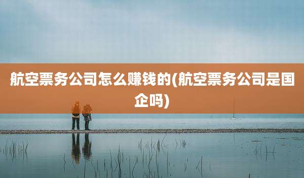 航空票务公司怎么赚钱的(航空票务公司是国企吗)