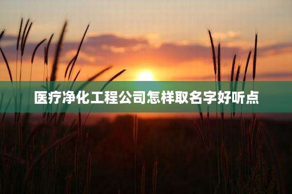 医疗净化工程公司怎样取名字好听点