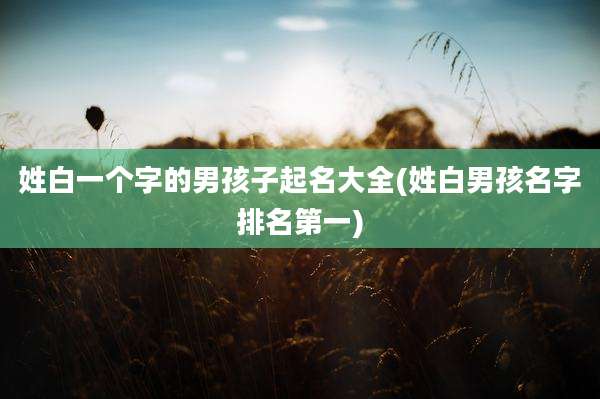 姓白一个字的男孩子起名大全(姓白男孩名字排名第一)