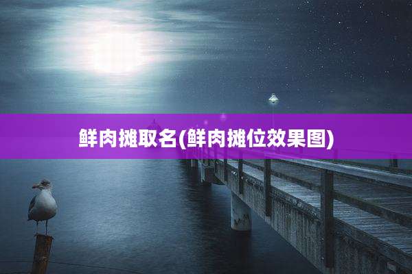鲜肉摊取名(鲜肉摊位效果图)
