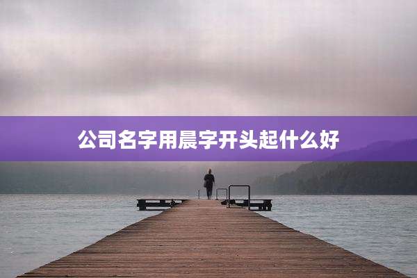 公司名字用晨字开头起什么好