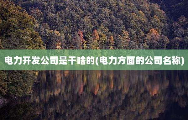 电力开发公司是干啥的(电力方面的公司名称)