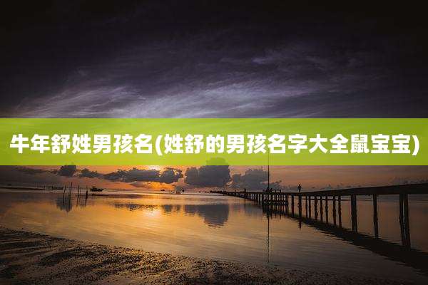 牛年舒姓男孩名(姓舒的男孩名字大全鼠宝宝)