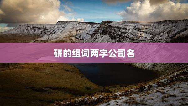 研的组词两字公司名